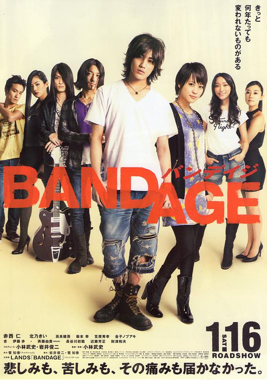 BANDAGE2010